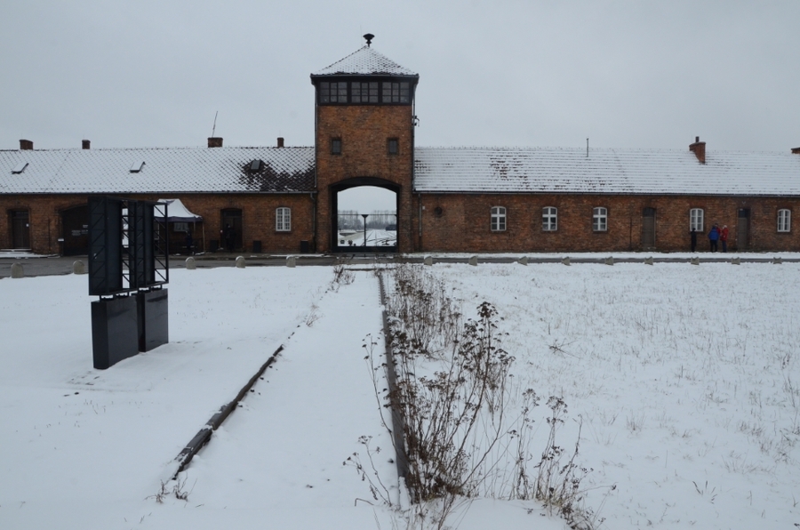 27.01.2021. IPN oddał hołd ofiarom niemieckiego obozu koncentracyjnego KL Auschwitz. Fot. Janusz Ślęzak (IPN)
