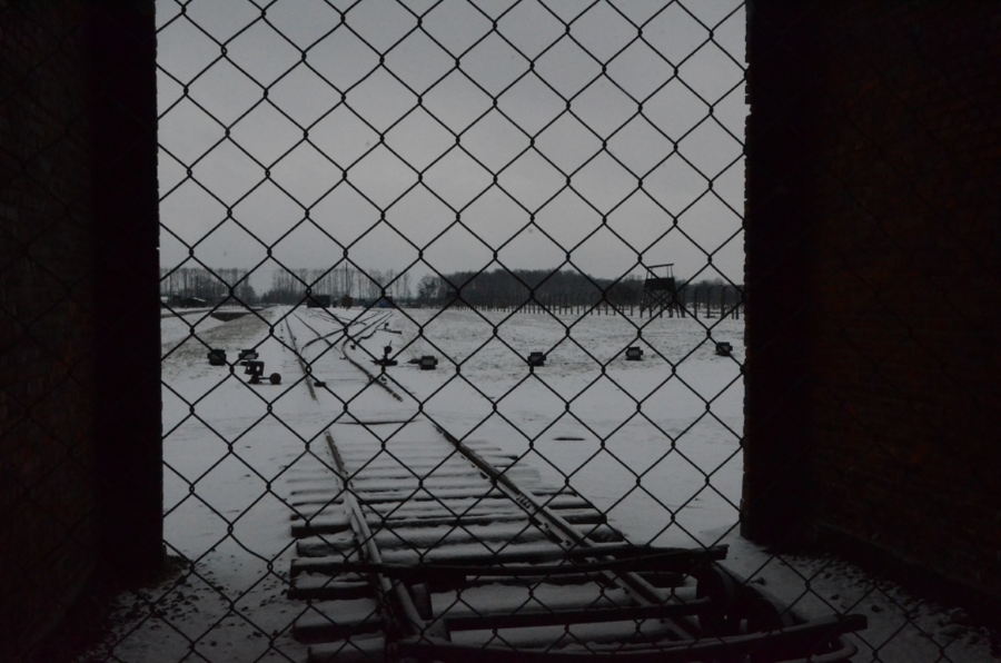 27.01.2021. IPN oddał hołd ofiarom niemieckiego obozu koncentracyjnego KL Auschwitz. Fot. Janusz Ślęzak (IPN)