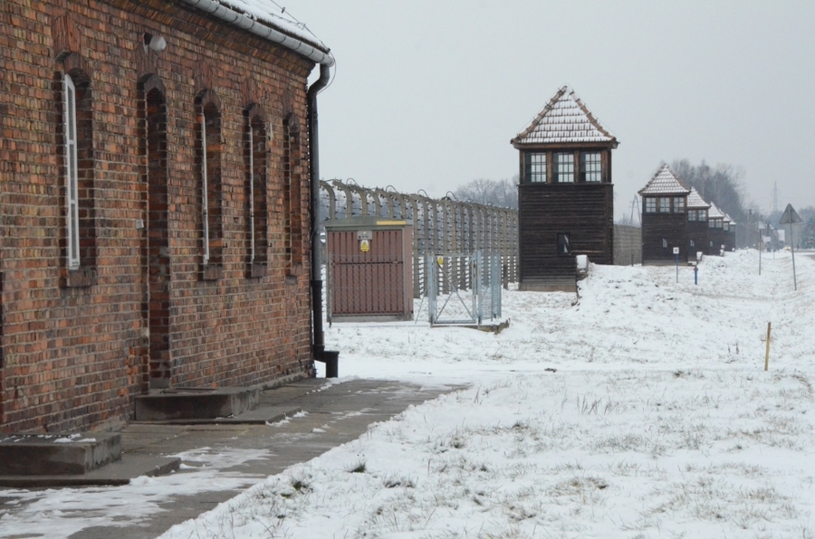 27.01.2021. IPN oddał hołd ofiarom niemieckiego obozu koncentracyjnego KL Auschwitz. Fot. Janusz Ślęzak (IPN)