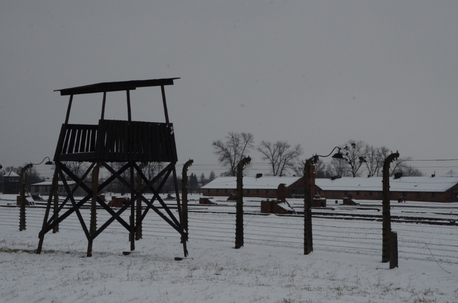27.01.2021. IPN oddał hołd ofiarom niemieckiego obozu koncentracyjnego KL Auschwitz. Fot. Janusz Ślęzak (IPN)
