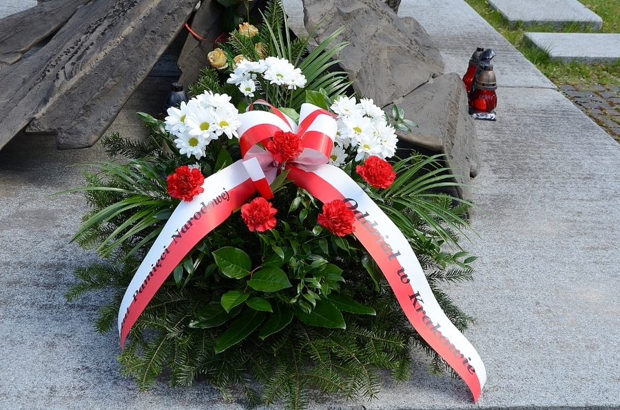 61. rocznica obrony Krzyża Nowohuckiego. Fot. Janusz Ślęzak (IPN)