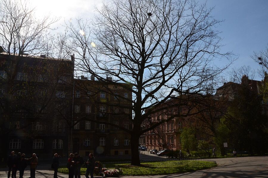30.04.2021. W 76. rocznicę wyzwolenia KL Ravensbrück w Krakowie oddano hołd ofiarom niemieckich obozów koncentracyjnych. Fot. Janusz Ślęzak (IPN)