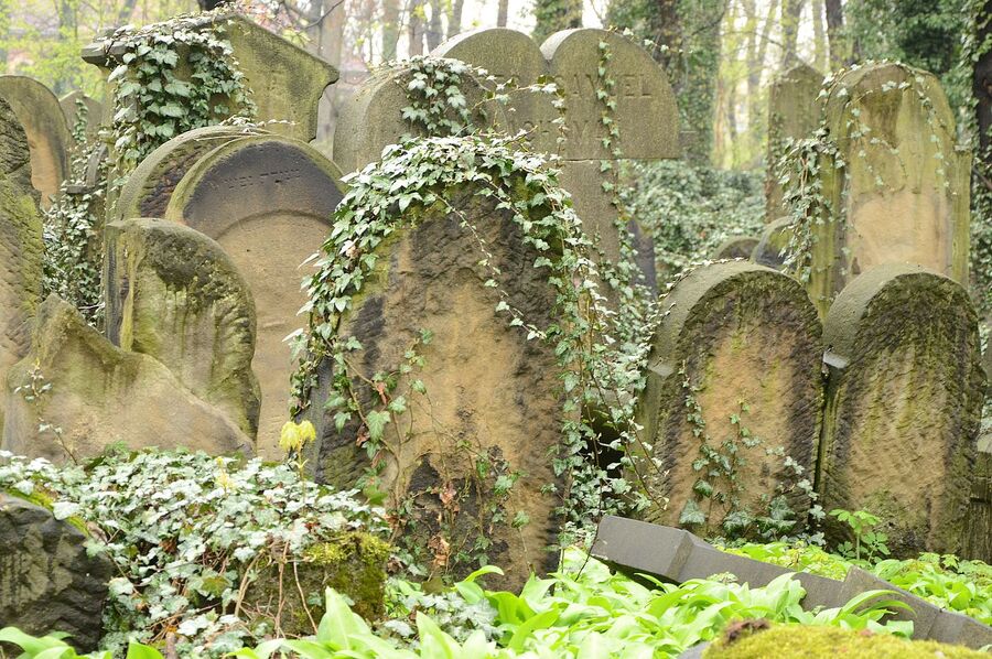 75. rocznica zbrodni pod Krościenkiem. Fot. Janusz Ślęzak (IPN)