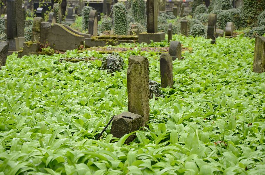 75. rocznica zbrodni pod Krościenkiem. Fot. Janusz Ślęzak (IPN)