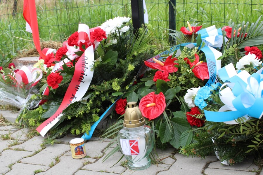 W Krakowie odsłonięto dwie tablice pamięci ofiar niemieckich obozów pracy przymusowej - fot. Żaneta Wierzgacz IPN