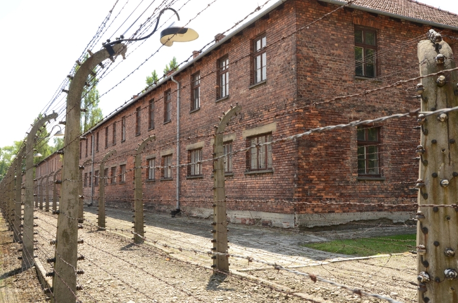 81. rocznica pierwszego masowego transportu Polaków do KL Auschwitz. Uroczystości w Oświęcimiu. Fot. Janusz Ślęzak (IPN)