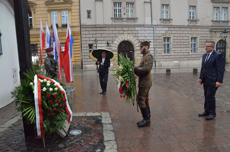 56. Marsz Szlakiem I Kompanii Kadrowej. Uroczystości na Wawelu. Fot. Janusz Ślęzak (IPN)