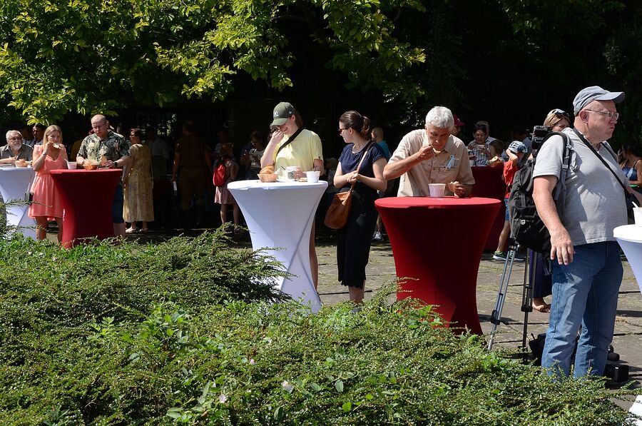 Piknik wojskowy w Krakowie. Fot. Janusz Ślęzak (IPN)