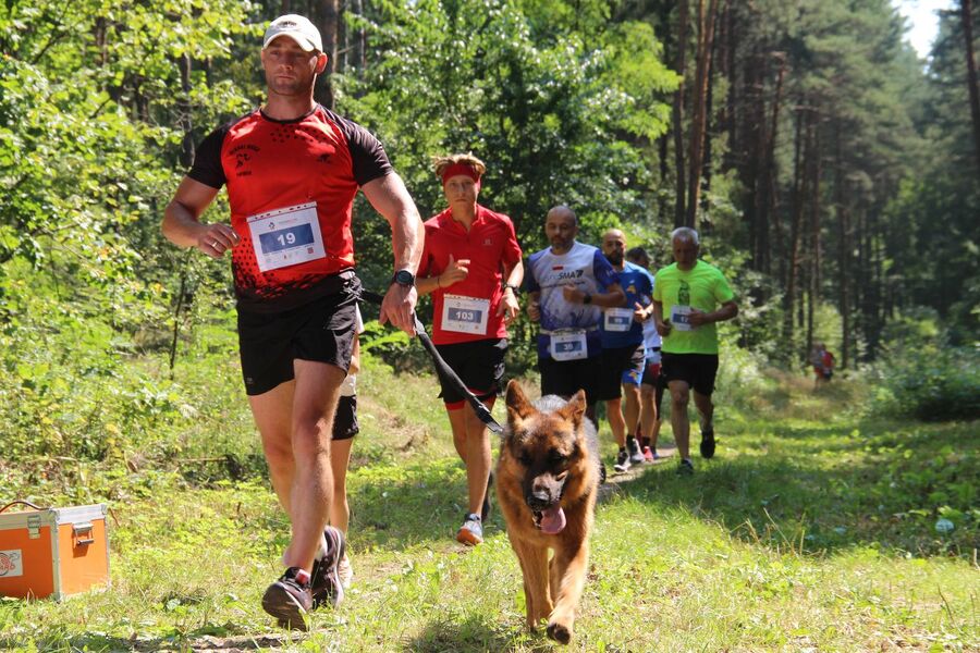 Bieg Tropem Wilczym w Rabsztynie. Fot. IPN