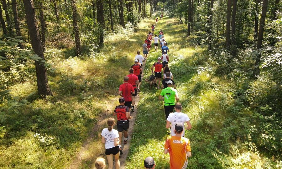 Bieg Tropem Wilczym w Rabsztynie. Fot. IPN