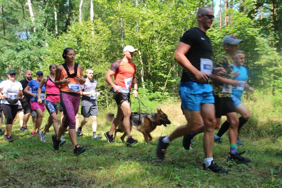 Bieg Tropem Wilczym w Rabsztynie. Fot. IPN