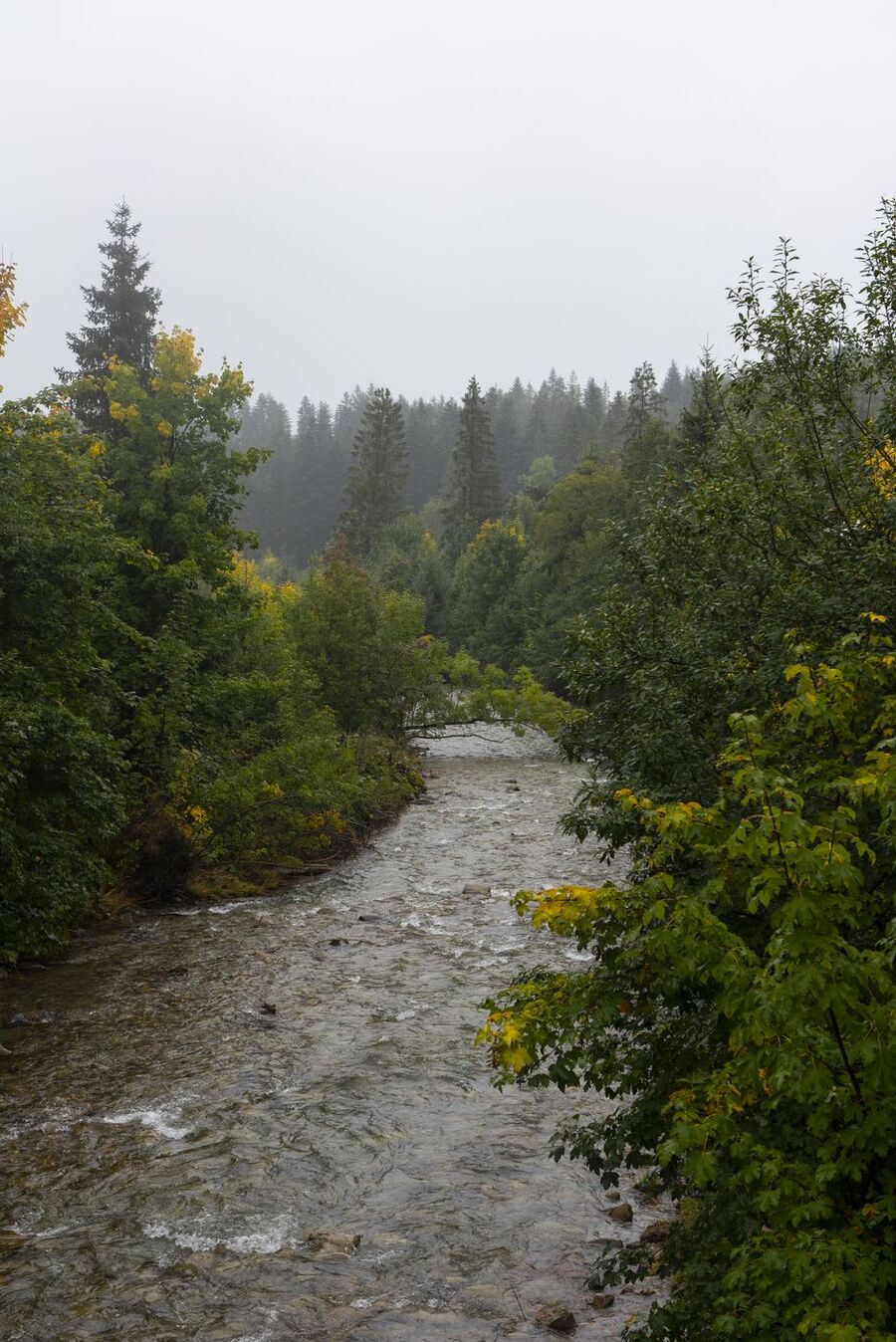 XV Rajd Szlakami Żołnierzy Wyklętych im. „Ognia”. Fot. Agnieszka Masłowska (IPN)