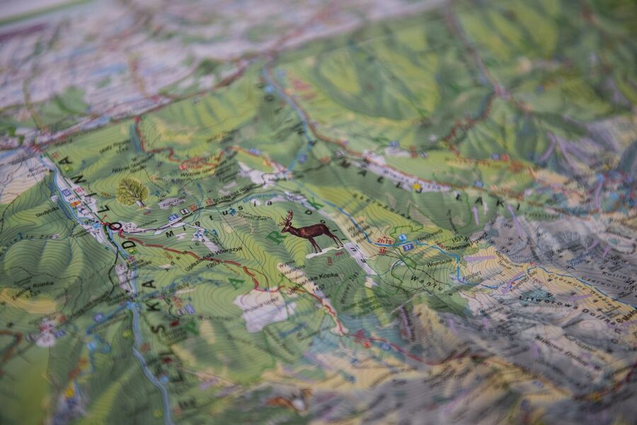 XV Rajd Szlakami Żołnierzy Wyklętych im. „Ognia”. Fot. Agnieszka Masłowska (IPN)