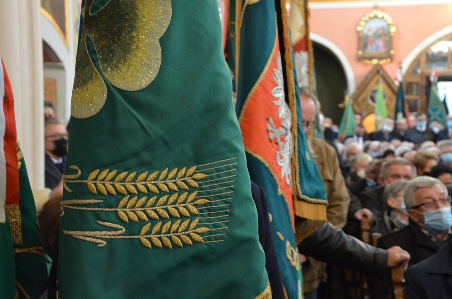 Przedstawiciele IPN na Zaduszkach Witosowych w Wierzchosławicach. Fot. Janusz Ślęzak (IPN)