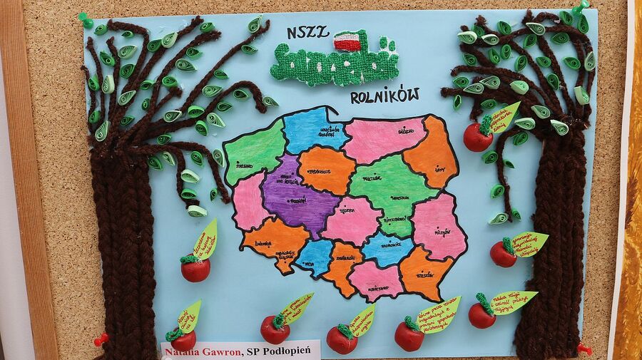 Uroczystości w Limanowej. Fot. Łukasz Płatek (IPN)