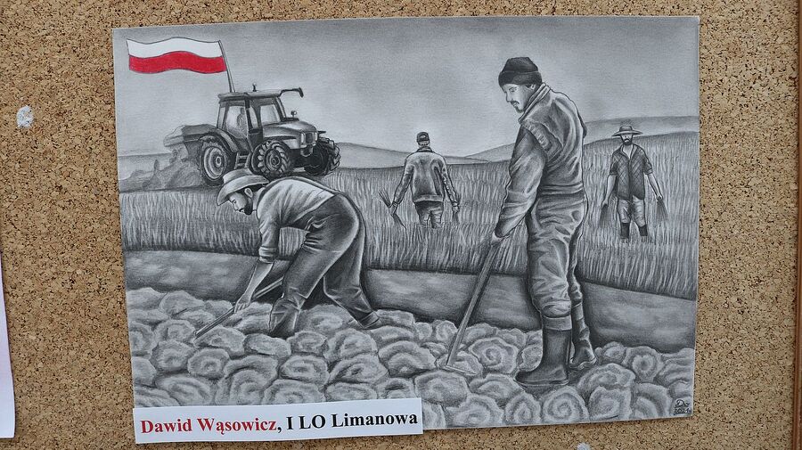 Uroczystości w Limanowej. Fot. Łukasz Płatek (IPN)