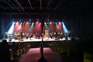 Koncert w Tarnowie. Fot. Żaneta Wierzgacz (IPN)