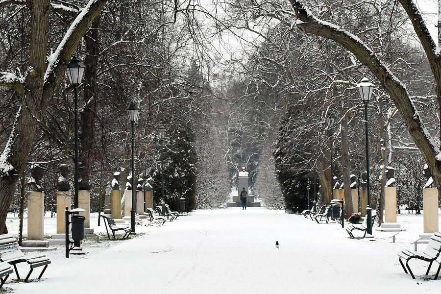 75. rocznica śmierci gen. Leopolda Okulickiego. Fot. Monika Wojtyca (IPN)