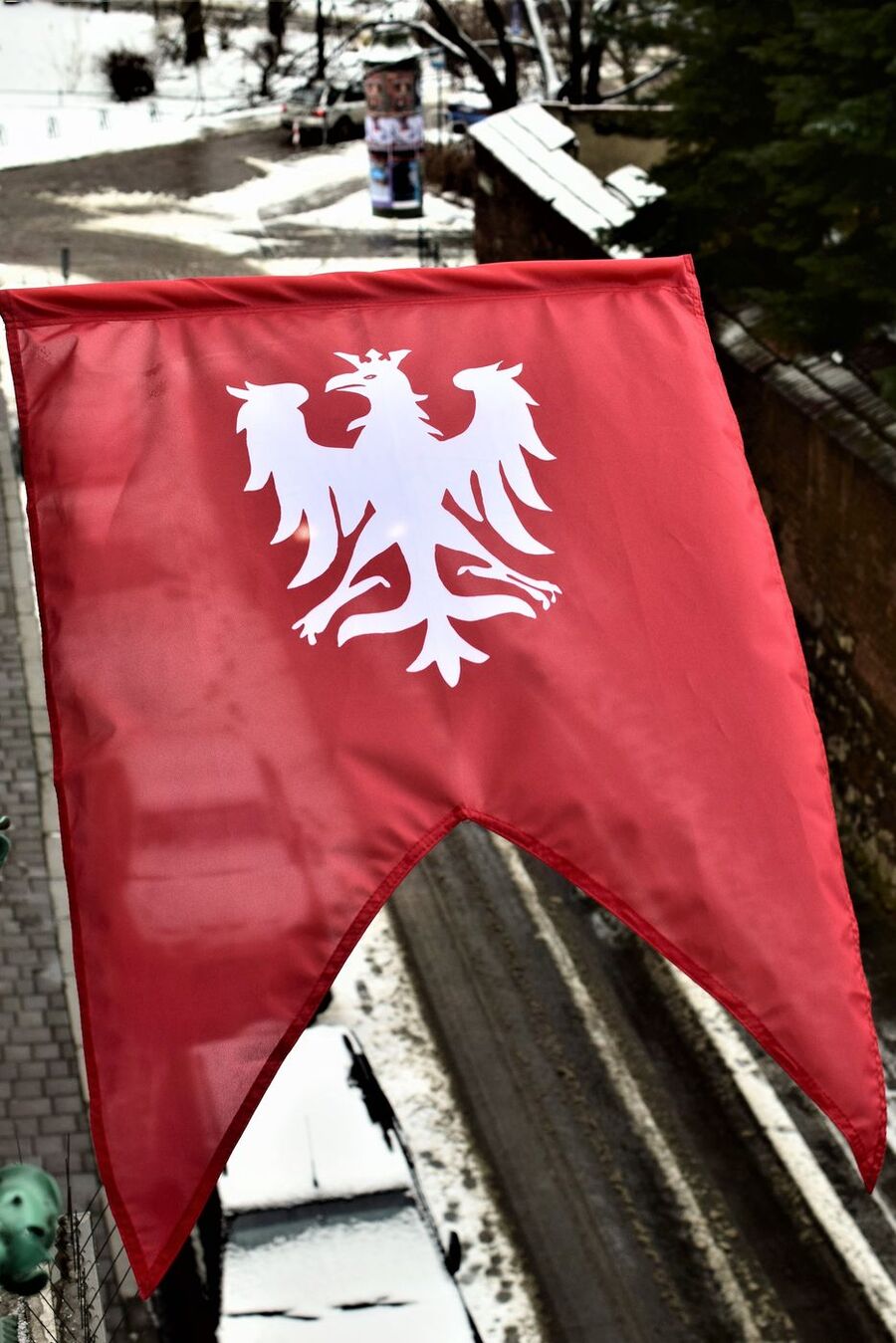 Narodowy Dzień Zwycięskiego Powstania Wielkopolskiego. Fot. IPN