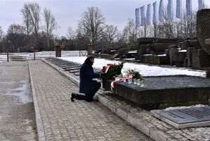 Krakowski IPN uczcił pamięć ofiar KL Auschwitz. Fot. Monika Wojtyca (IPN)