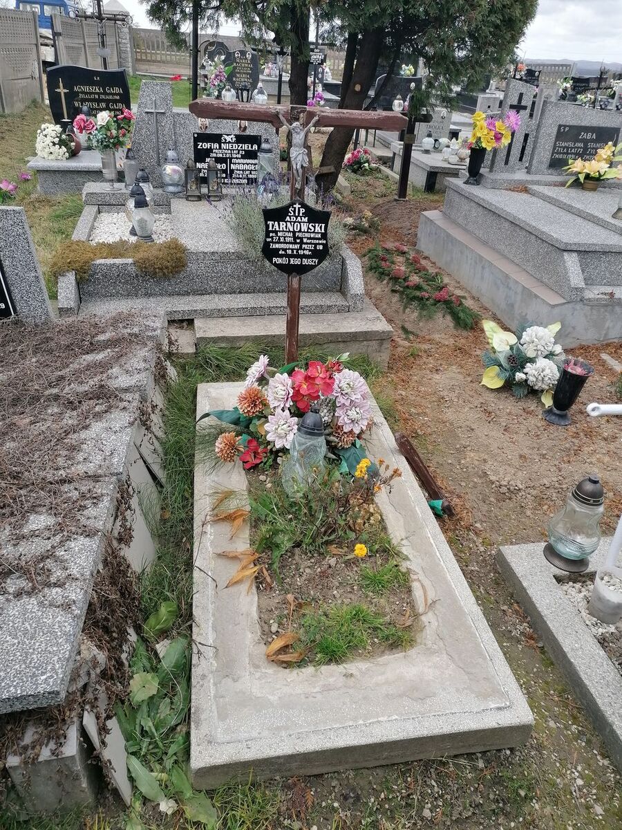 Mogiła Adama Tarnowskiego przed remontem. Fot. IPN