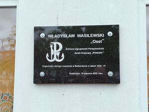 Odsłonięcie tablicy Władysława Wasilewskiego „Oseta” w Bodzentynie. Fot. Rafał Obarzanek