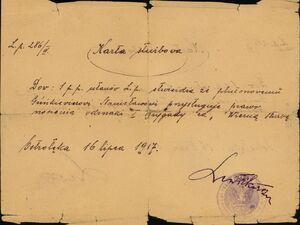 Karta służbowa z 16 lipca 1917 r. stwierdzająca prawo plut. Stanisława Guńkiewicza do noszenia Odznaki I Brygady Legionów Polskich Za Wierną Służbę