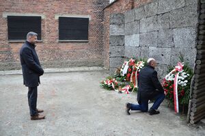 Muzeum Auschwitz-Birkenau. Fot. Janusz Ślęzak (IPN)