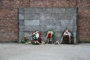 Muzeum Auschwitz-Birkenau. Fot. Janusz Ślęzak (IPN)