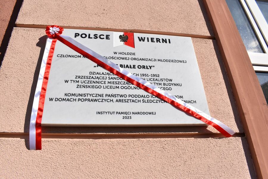 W Sandomierzu odsłonięto tablicę Młodych Białych Orłów. Fot. Dariusz Skrzyniarz (IPN)