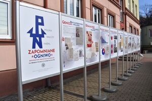 W Sandomierzu odsłonięto tablicę Młodych Białych Orłów. Fot. Dariusz Skrzyniarz (IPN)