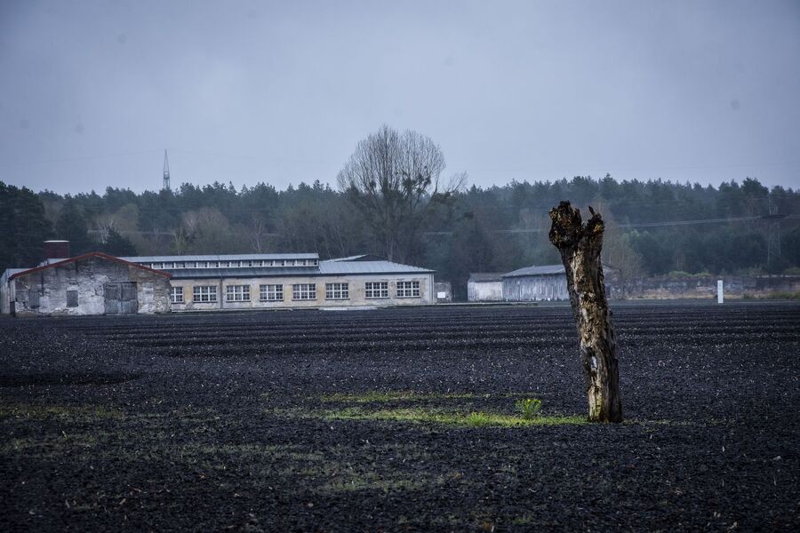 Wyprawa do Ravensbrück i Sachsenhausen. Fot. Agnieszka Masłowska (IPN)