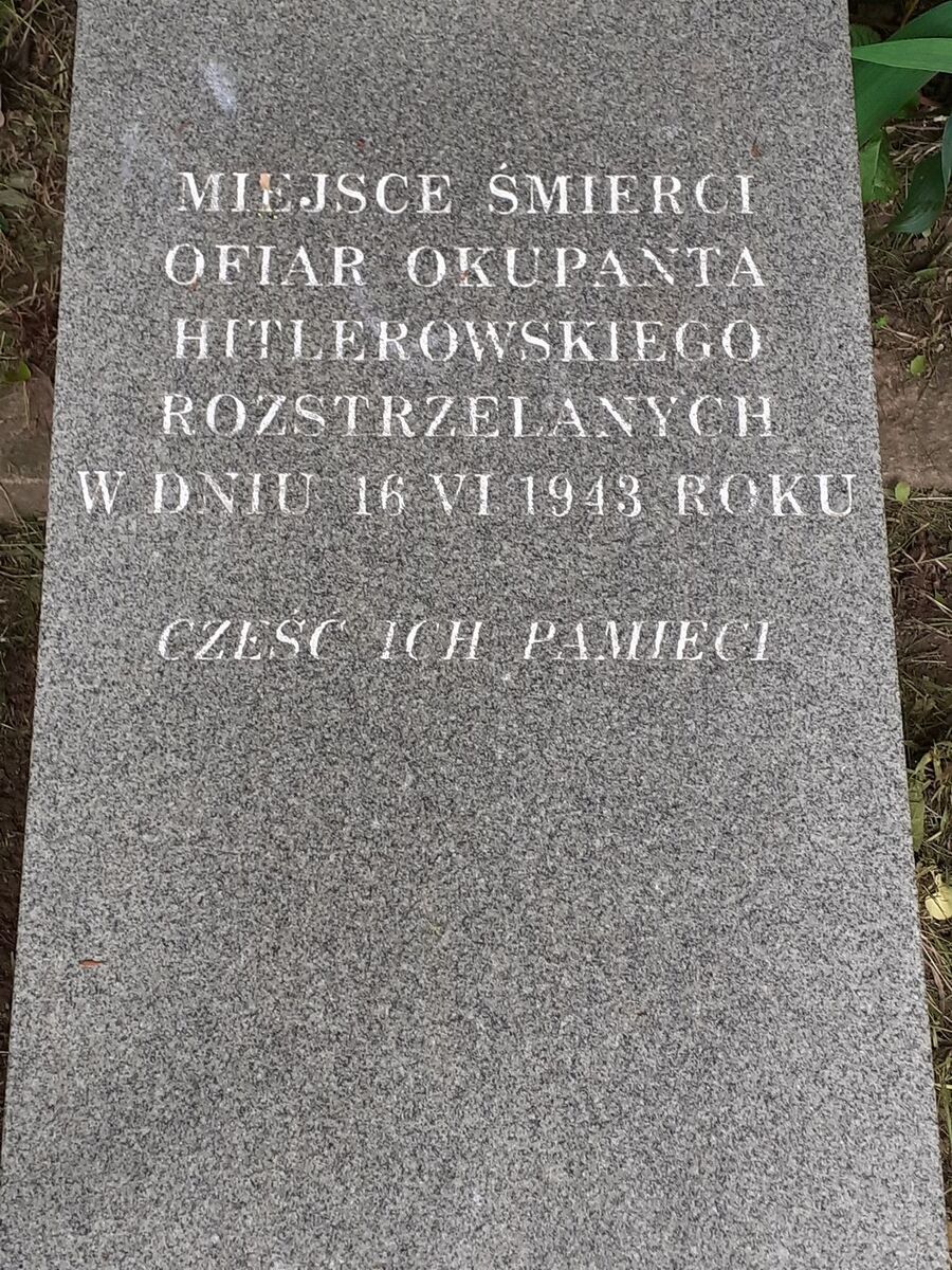 Gnatowice. Fot. Marcin Chorązki (IPN)