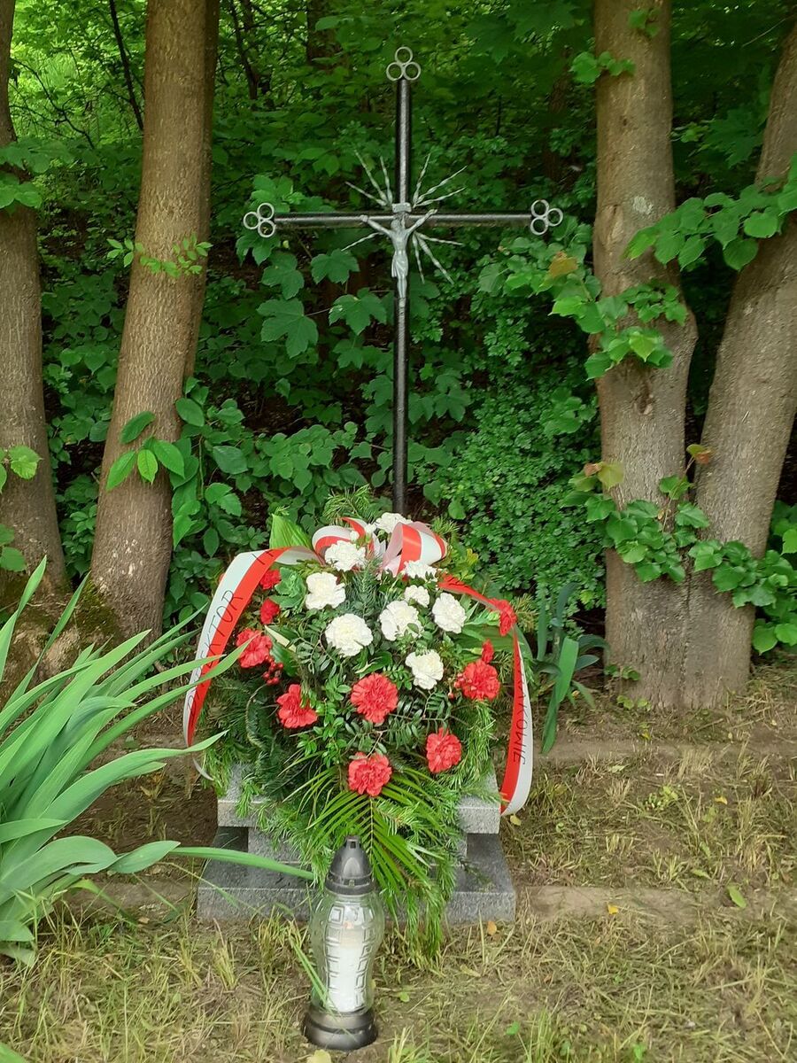 Gnatowice. Fot. Marcin Chorązki (IPN)