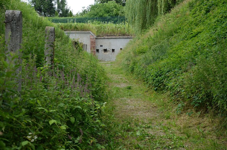 Miejsce straceń w forcie „Krzesławice”. Fot. Janusz Ślęzak (IPN)