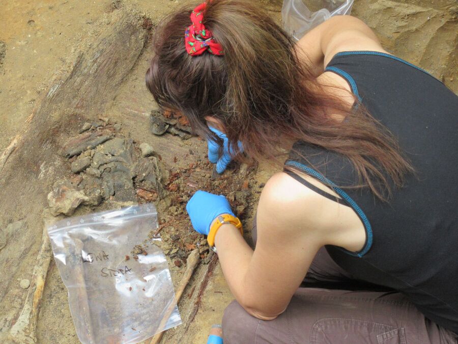 Prace poszukiwawczo-ekshumacyjne na cmentarzu Rakowickim w Krakowie – lipiec 2023. Fot. IPN