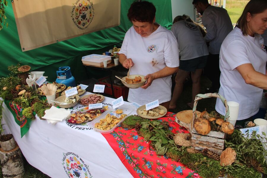Wysowa Zdrój. Bieg Pustelnika i gra terenowa IPN