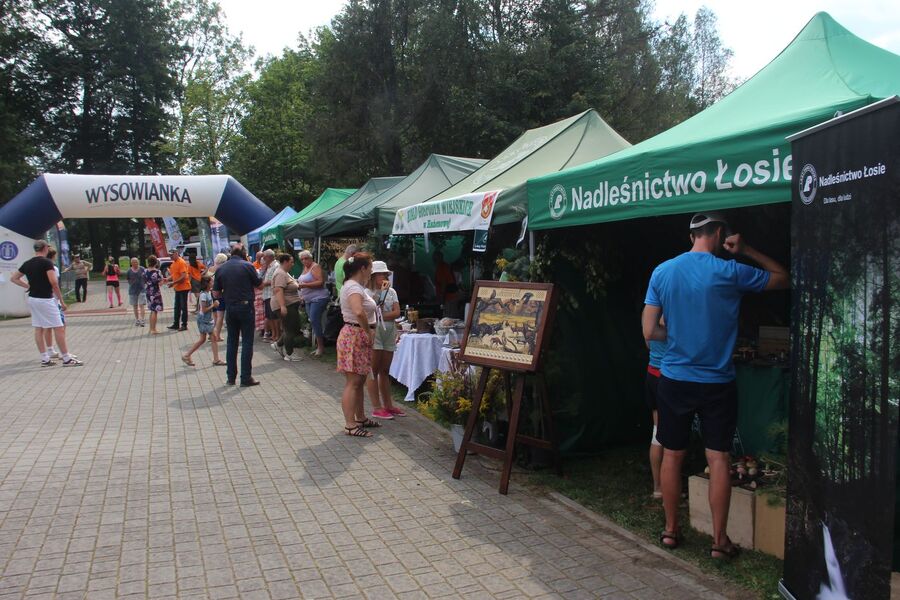 Wysowa Zdrój. Bieg Pustelnika i gra terenowa IPN