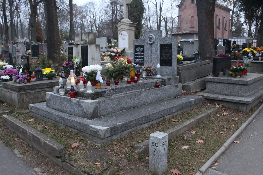 Grób Konecznych przed remontem