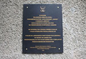 W bazie Lubogoszcz odsłonięto tablicę żołnierzy AK z oddziału „Mszyca”. Fot. Jakub Ryba (IPN)