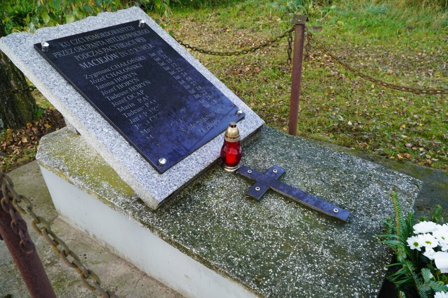 Zbrodnie żandarmerii niemieckiej w Maciejowie. Fot. Żaneta Wierzgacz (IPN)