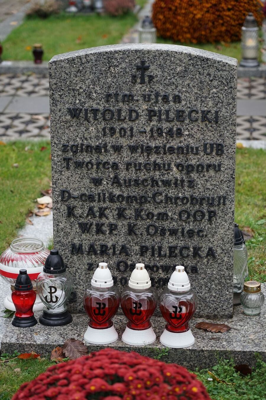 Kwiaty na Powązkach