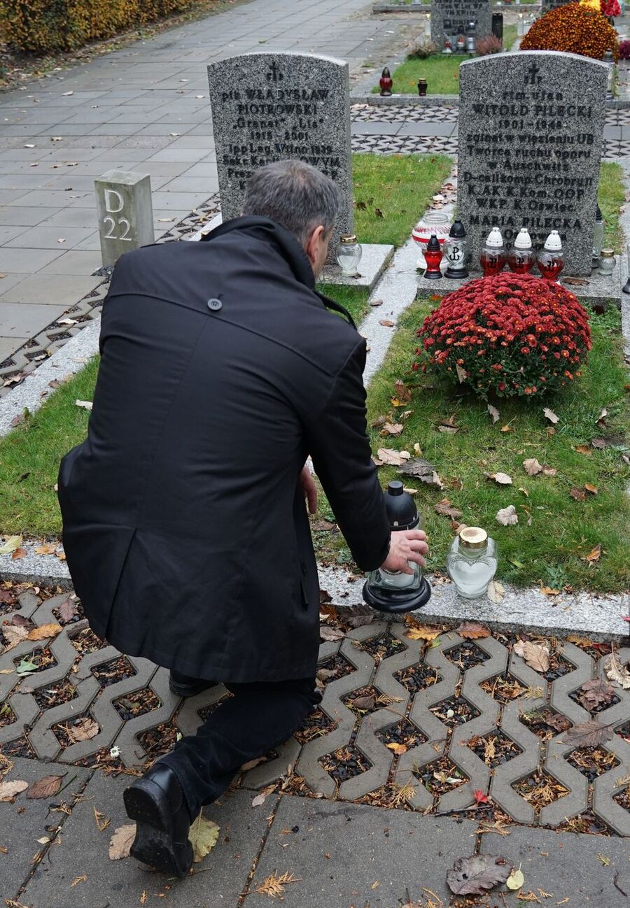 Kwiaty na Powązkach