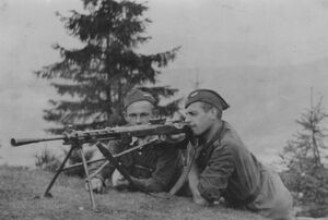 Partyzanci II batalionu 1PSP AK z oddziału działającego w okolicach Rabki-Zdroju latem 1944 r. Fot. ze zbiorów Ralfa Brooksa